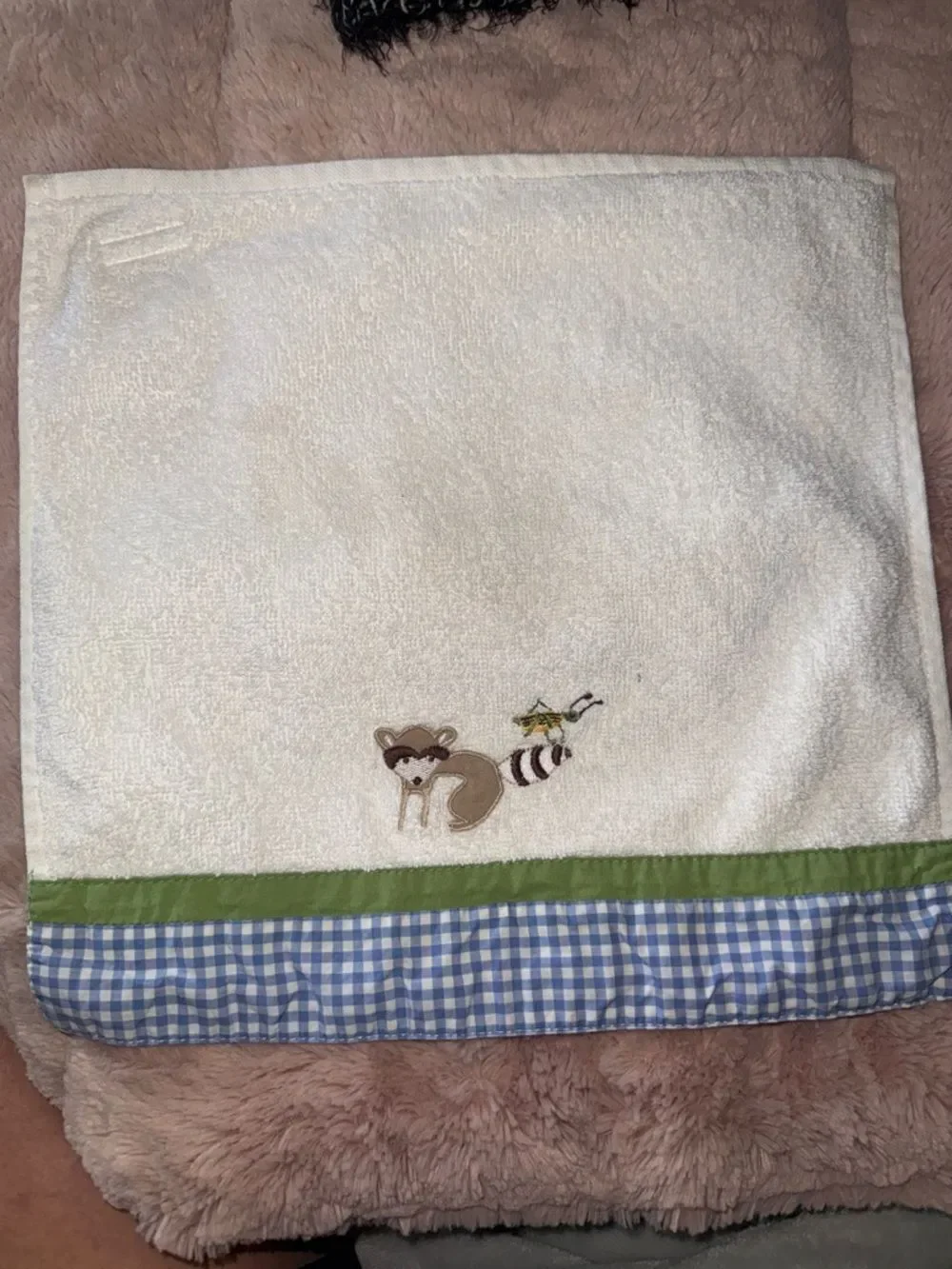 Pottery Barn Kids Raccoon and Grasshopper Washcloth!